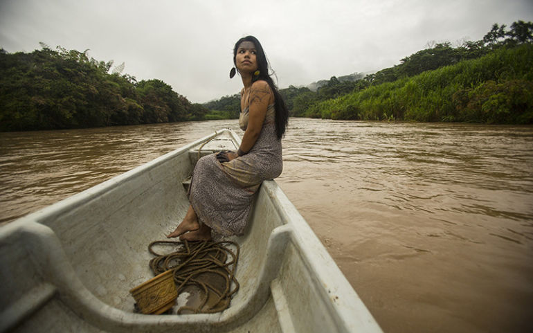 What The Fight Against Climate Change Looks Like Hero Image